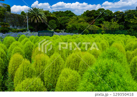 植物園で見つけた光景 129350418