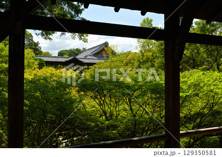 京都・東福寺 129350581