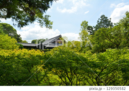 京都・東福寺 129350582