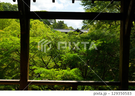 京都・東福寺 129350583