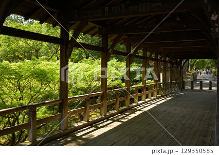 京都・東福寺 京都・東福寺 129350585
