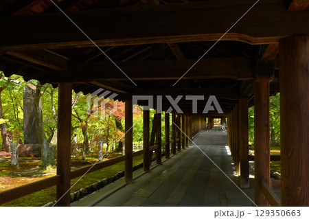 京都・東福寺 129350663