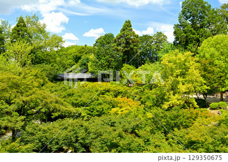 京都・東福寺 129350675