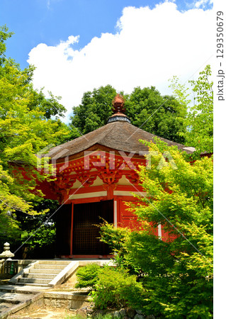 京都・東福寺 京都・東福寺 129350679