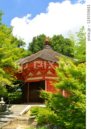 京都・東福寺 京都・東福寺 129350681