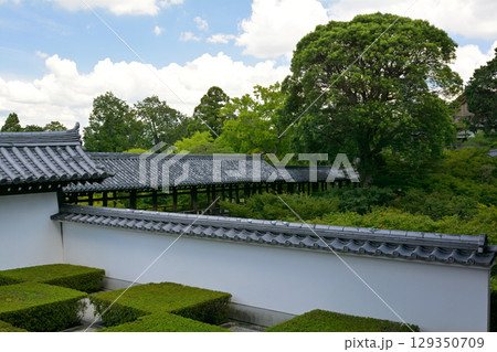 京都・東福寺 129350709