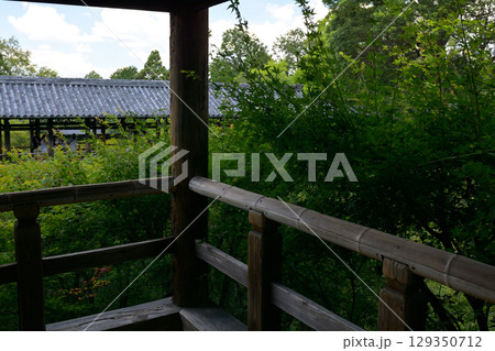 京都・東福寺 129350712