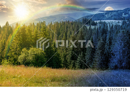 mountain landscape with fir forest on the hill on summer solstice. hiking through beautiful nature scenery of alpine countryside with sun and moon at twilight. day and night time change concept mountain landscape with fir forest on the hill on summer solstice. hiking through beautiful nature scenery of alpine countryside with sun and moon at twilight. day and night time change concept 129350719