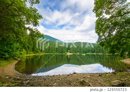 remote mountain landscape with forest lake in summer. travel nature background of synevyr national park on a sunny day. scenic view of coniferous trees reflection in water. vacation season in ukraine remote mountain landscape with forest lake in summer. travel nature background of synevyr national park on a sunny day. scenic view of coniferous trees reflection in water. vacation season in ukraine 129350723