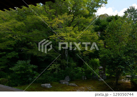 京都・東福寺 129350744