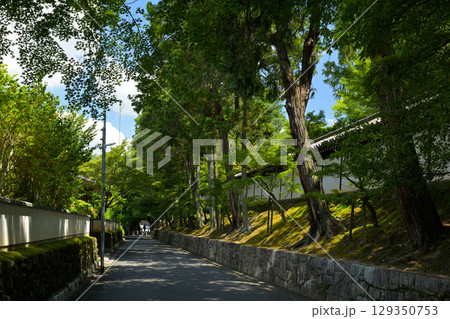 京都・東福寺 129350753