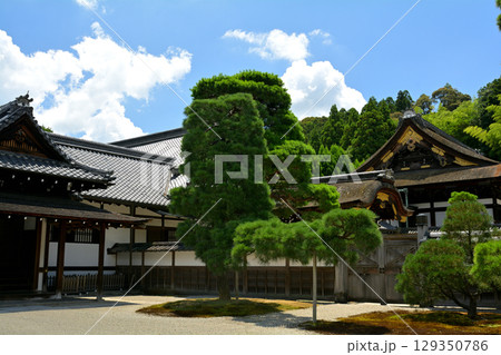 京都・泉涌寺 京都・泉涌寺 129350786