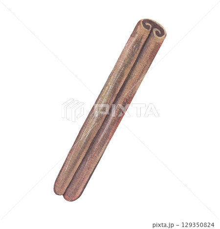 Cinnamon stick. Hand-painted watercolor illustration of spice isolated on white background for winter recipes, holiday drinks, festive decor, Christmas cards, seasonal packaging, cozy culinary designs Cinnamon stick. Hand-painted watercolor illustration of spice isolated on white background for winter recipes, holiday drinks, festive decor, Christmas cards, seasonal packaging, cozy culinary designs 129350824