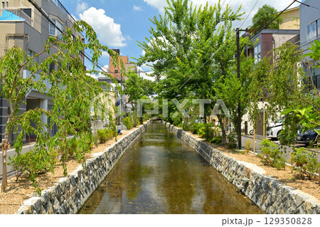 京都・高瀬川 京都・高瀬川 129350828