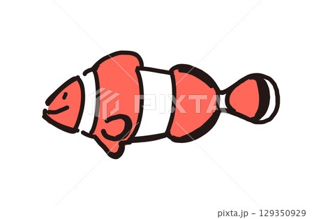 可愛い手書きイラスト　カクレクマノミ 129350929