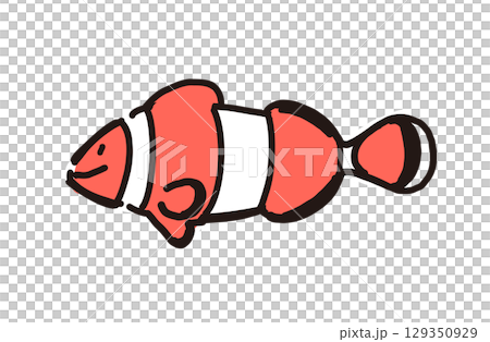 可愛い手書きイラスト　カクレクマノミ 129350929