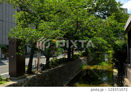 京都・高瀬川 129351072