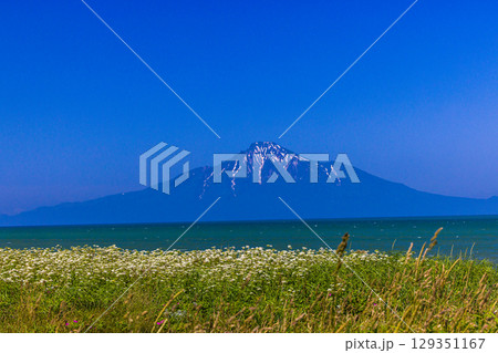 【北海道_稚内市_浜勇知園地】日本海に浮かぶ利尻富士を眺望 6月 7月 129351167