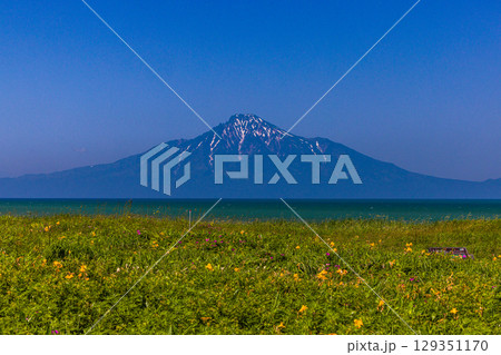 【北海道_稚内市_浜勇知園地】日本海に浮かぶ利尻富士を眺望 6月 7月 【北海道_稚内市_浜勇知園地】日本海に浮かぶ利尻富士を眺望 6月 7月 129351170