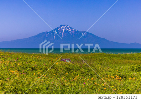 【北海道_稚内市_浜勇知園地】日本海に浮かぶ利尻富士を眺望 6月 7月 129351173
