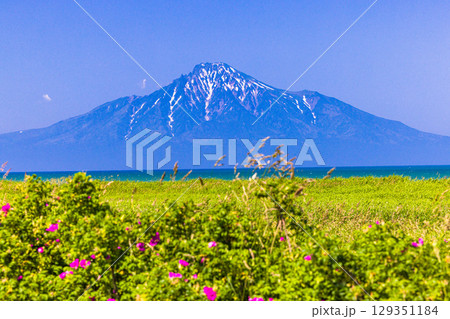 【北海道_稚内市_浜勇知園地】日本海に浮かぶ利尻富士を眺望 6月 7月 129351184