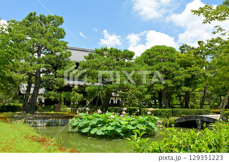 京都・建仁寺 129351223