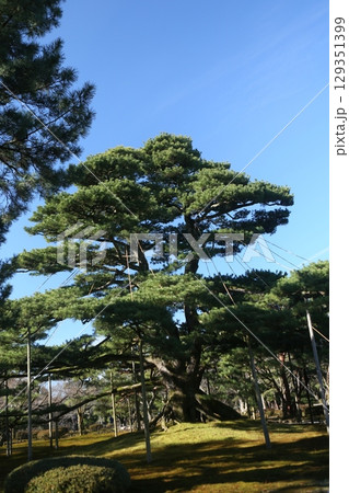 日本 ジャパン 日本国 129351399