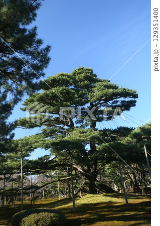 日本 ジャパン 日本国 129351400