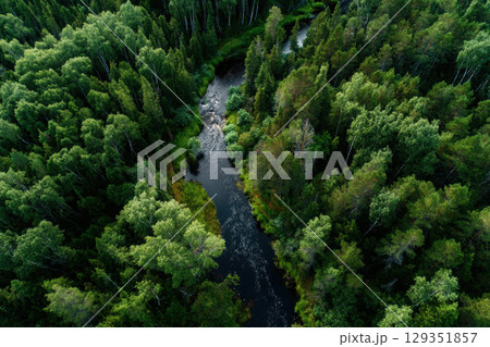 Winding river flows through lush green forest landscape 129351857