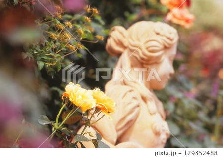 花菜ガーデンのばら 花菜ガーデンのばら 129352488