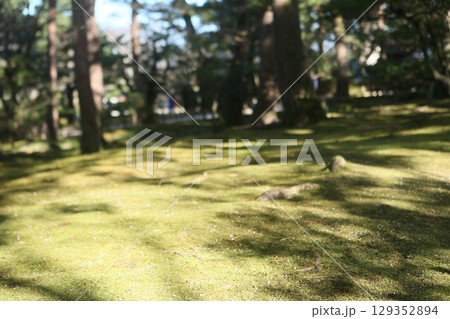 日本 ジャパン 日本国 129352894