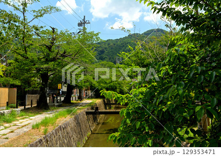 京都・哲学の道 129353471