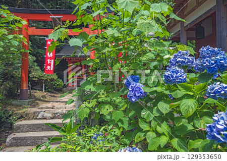 竹生島宝厳寺 三龍堂の夏景色 129353650