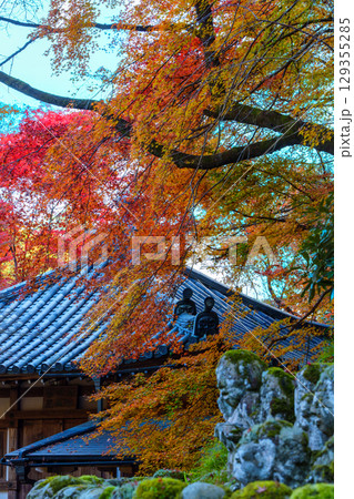 京都　愛宕念仏寺の秋 129355285