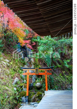 京都　愛宕念仏寺の秋 129355289