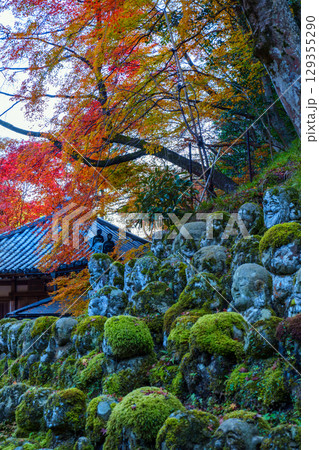 京都　愛宕念仏寺の秋 129355290