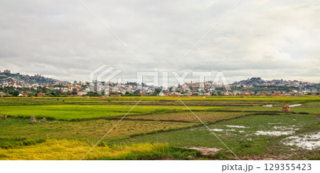Typical landscape of Madagascar on overcast cloudy day - people working at wet rice fields in foreground, houses on small hills of Antananarivo suburb 129355423