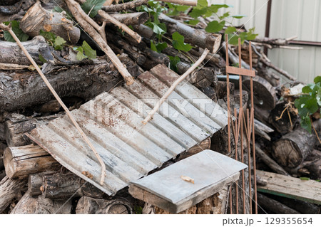 Rustic Woodpile Scene with Corrugated Metal Detail. A Brown and Gray Landscape Featuring Logs, Branches, and Debris in Natural Lighting 129355654