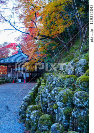 京都 愛宕念仏寺の秋 京都 愛宕念仏寺の秋 129355848