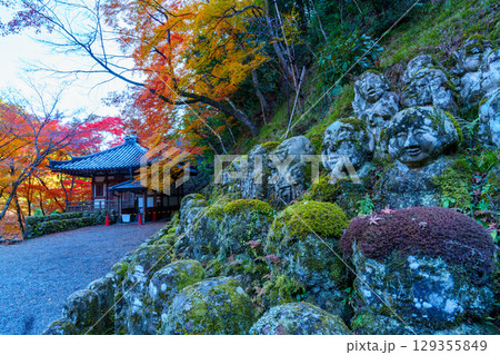 京都 愛宕念仏寺の秋 京都 愛宕念仏寺の秋 129355849