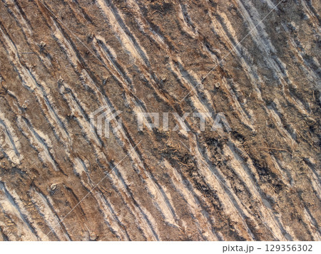 Aerial top down view of rows for planting new forest where old one was. Cut forest area shows prepared rows for replanting, forest regeneration efforts Aerial top down view of rows for planting new forest where old one was. Cut forest area shows prepared rows for replanting, forest regeneration efforts 129356302