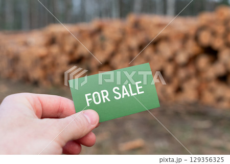 For sale sign on background of cut logs in forest. Man's hand holding "For sale" card against stacked timber in a deforested forest, illustrating resource exploitation and commercialization For sale sign on background of cut logs in forest. Man's hand holding "For sale" card against stacked timber in a deforested forest, illustrating resource exploitation and commercialization 129356325