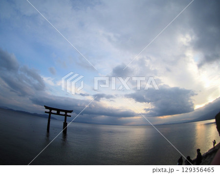 滋賀県 琵琶湖畔に佇む白髭神社の鳥居⑧ 滋賀県 琵琶湖畔に佇む白髭神社の鳥居⑧ 129356465