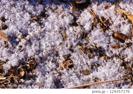 掃部ヶ岳　かもんがたけ　榛名山　上毛三山　登山　霜　雪　残雪　 129357170