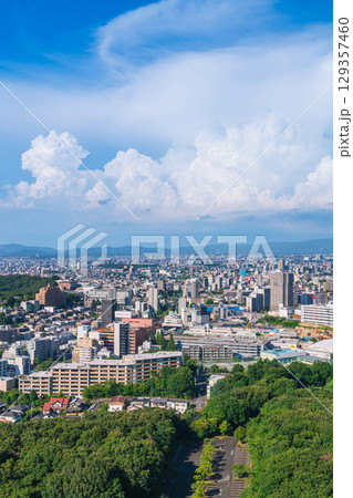 夏の名古屋市街地、東山スカイタワーからの眺め〈愛知県名古屋市〉 129357460