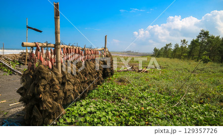 Multiple fishing nets hanging to dry outdoors, traditional fishing equipment used by local fishermen in a Southeast Asian coastal village. 129357726