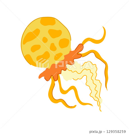 transparent jellyfish cartoon vector illustration transparent jellyfish cartoon vector illustration 129358259