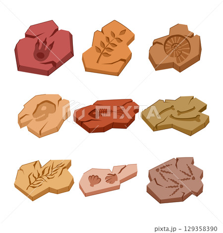 fossil set cartoon vector illustration 129358390