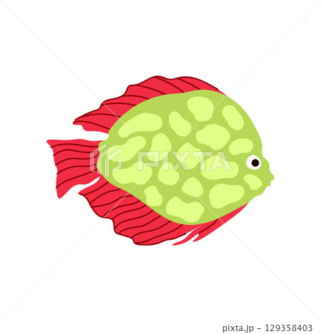 pleco exotic fish cartoon vector illustration pleco exotic fish cartoon vector illustration 129358403