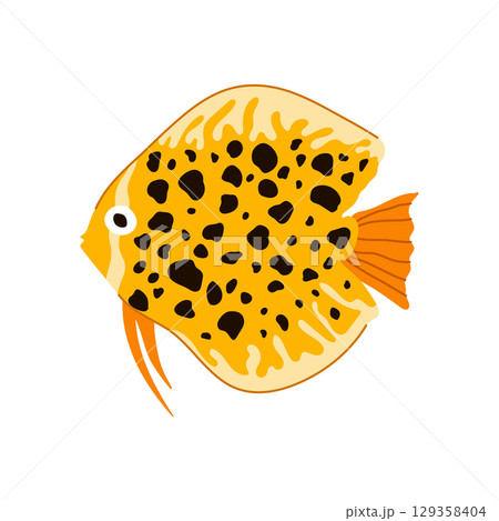 arowana exotic fish cartoon vector illustration 129358404